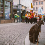 Hoffest beim Einbecker Brauhaus